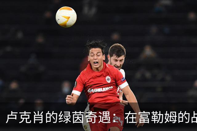 卢克肖的绿茵奇遇：在富勒姆的战斗统计